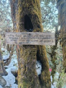 IMG20260206154811 225x300