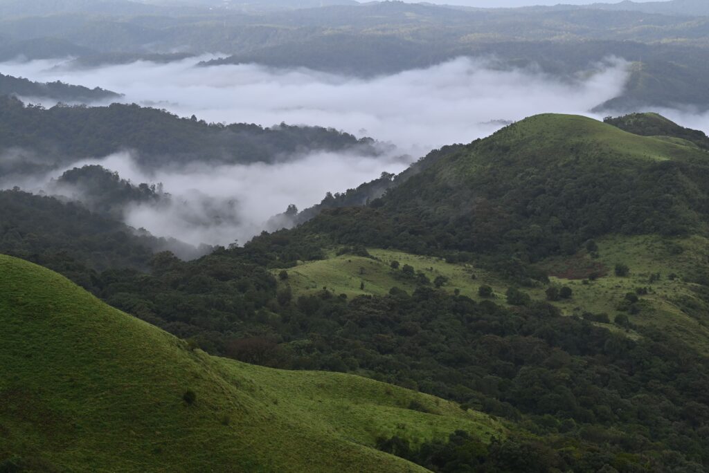 10 Best Monsoon Getaways in India for 2026 (Budget-Friendly & Offbeat) coorg in monsoon