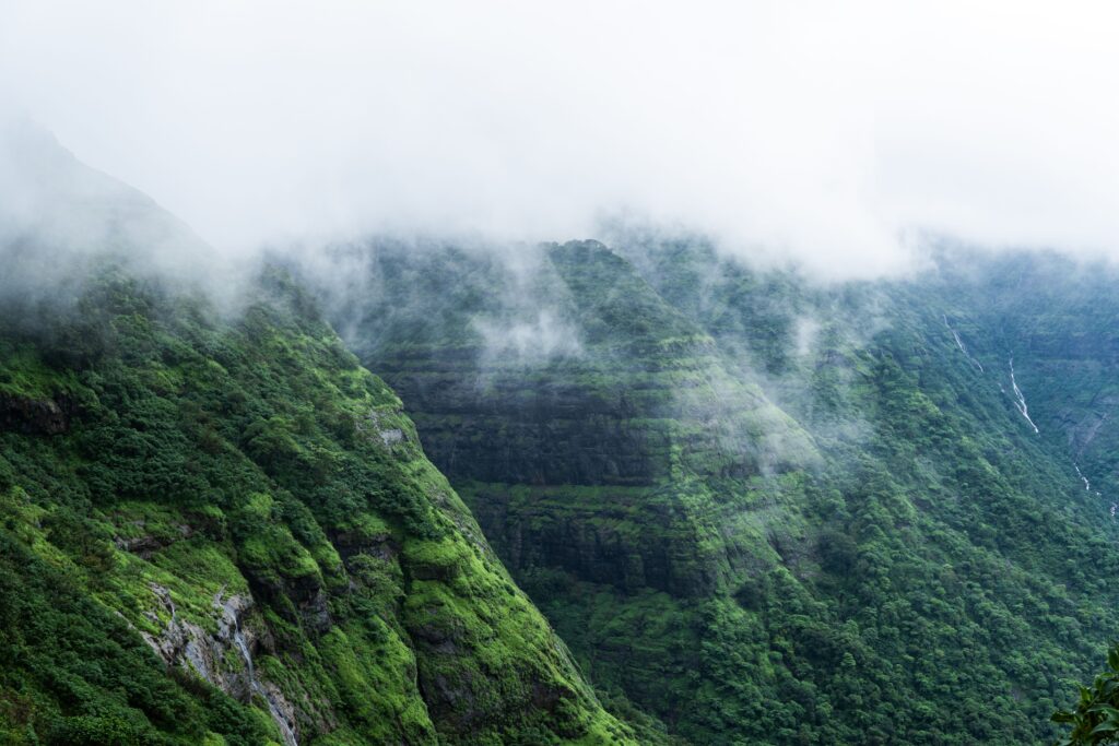 10 Best Monsoon Getaways in India for 2026 (Budget-Friendly & Offbeat) pexels ranjeet chauhan 485922 27743000