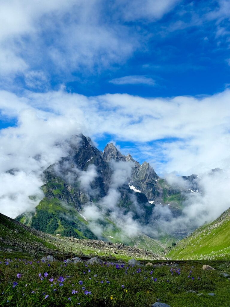 10 Best Monsoon Getaways in India for 2026 (Budget-Friendly & Offbeat) valley of flowers in monsoo